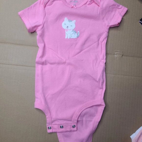 Baby Girl 12 Month Bodysuits - Lot Of 16 - Simple Joy by Carter's - Picture 5 of 12